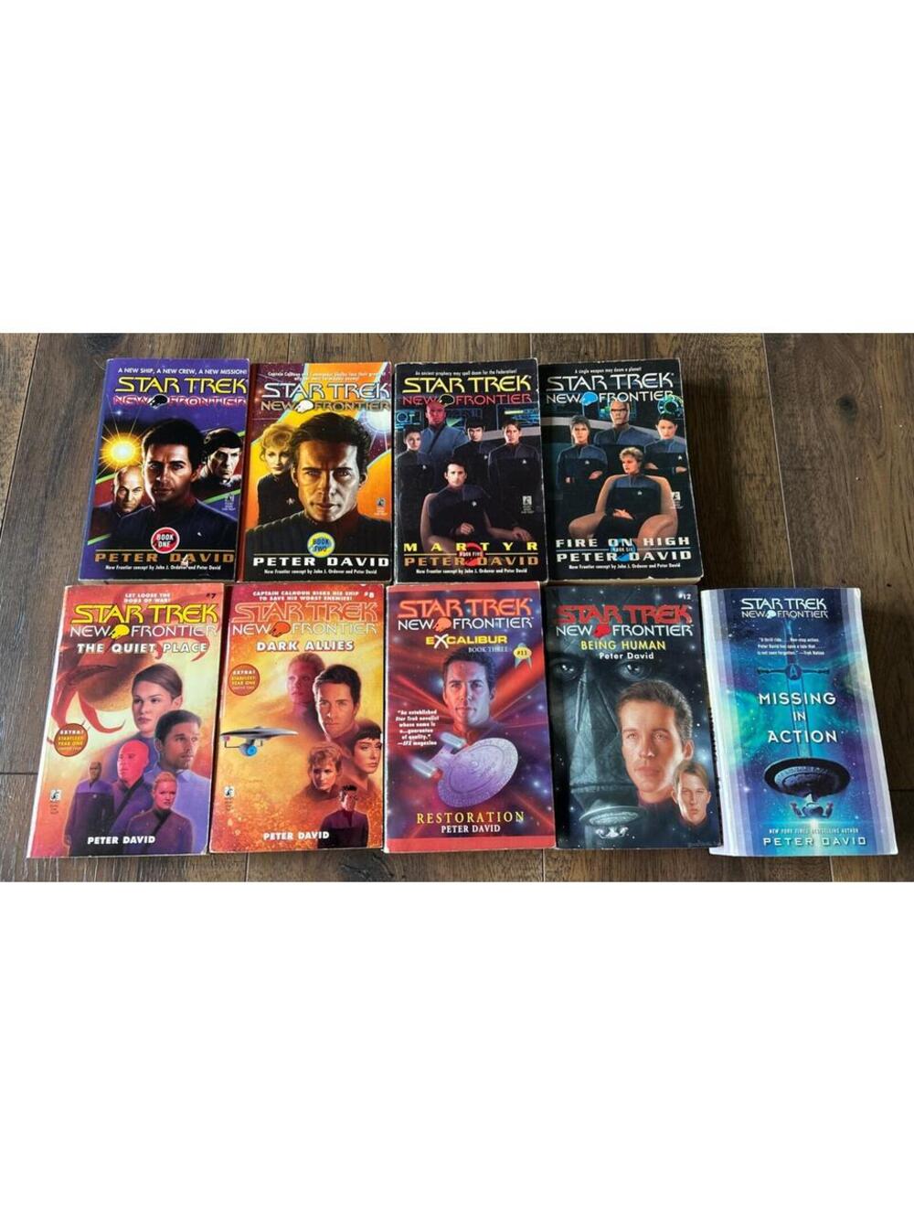 Star Trek NEW FRONTIER Lot Of 9 Pocket Paperback Books By Peter David